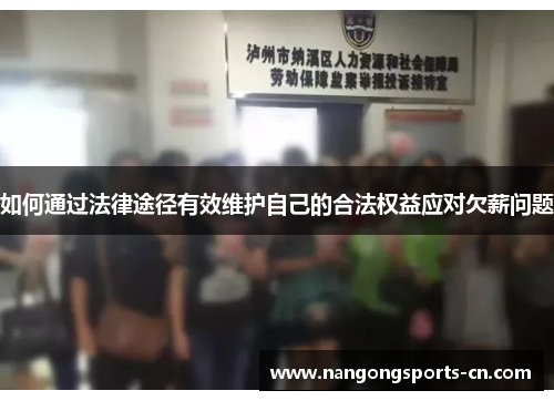 如何通过法律途径有效维护自己的合法权益应对欠薪问题